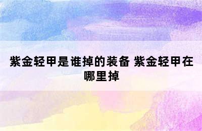 紫金轻甲是谁掉的装备 紫金轻甲在哪里掉